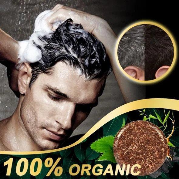 Shampoo solido per capelli scurinte biologico