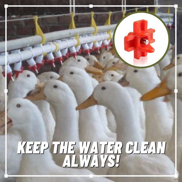 Alimentatore automatico dell'acqua - Image 2