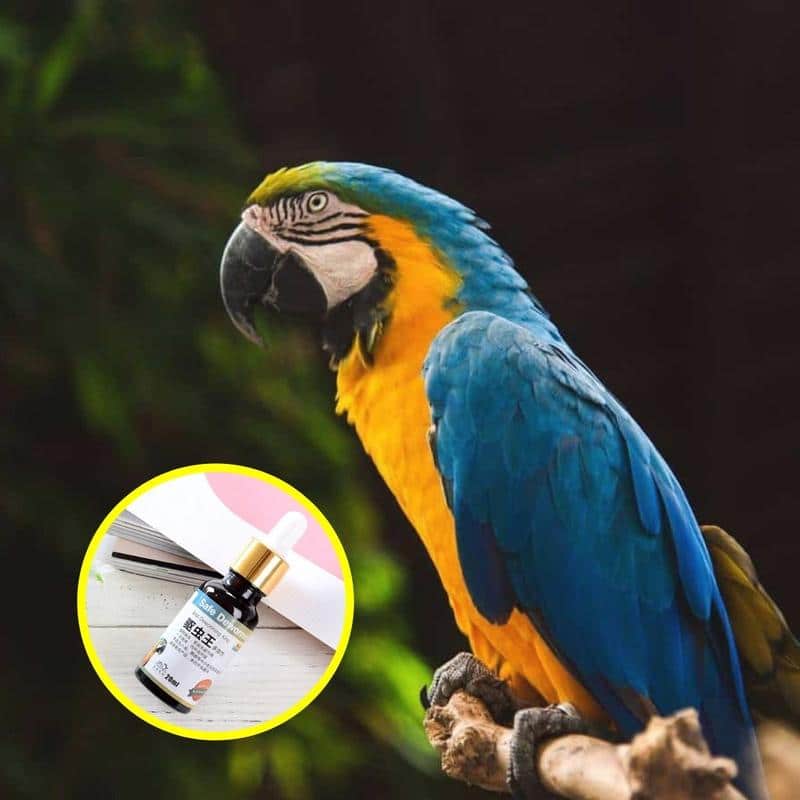 Vermifugo PlantGenic per uccelli - Image 3