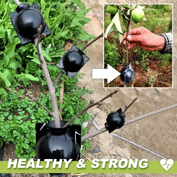 Scatole per piante a stratificazione ad aria 3 pezzi - Image 2