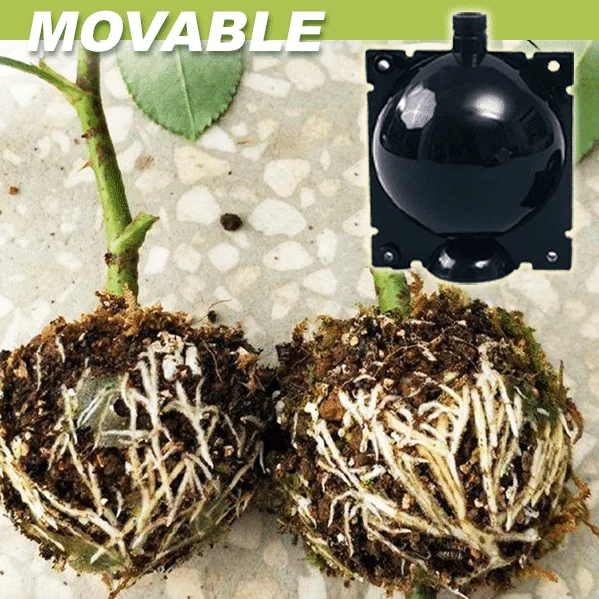 Scatole per piante a stratificazione ad aria 3 pezzi - Image 5