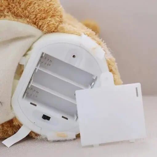 Dai un'occhiata a un orsacchiotto parlante Boo - Image 6