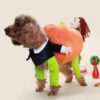 Vestito di Halloween da zucca Poochy